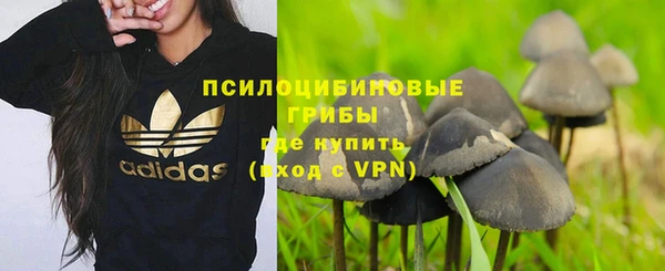 a pvp Аркадак