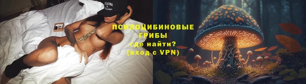 a pvp Аркадак