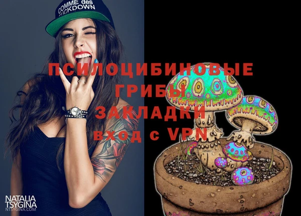a pvp Аркадак