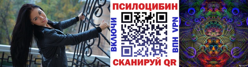 Псилоцибиновые грибы прущие грибы продажа наркотиков kraken как зайти Пошехонье